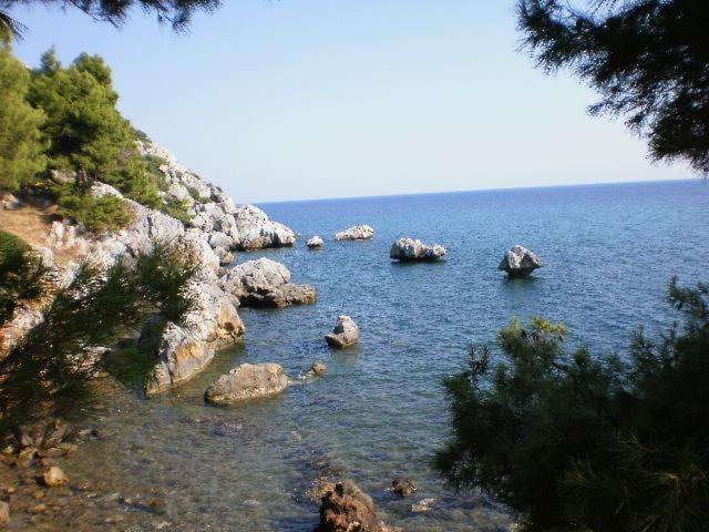 Studios Rosa Agia Paraskevi  Exterior photo