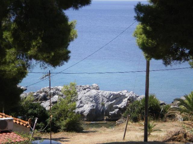 Studios Rosa Agia Paraskevi  Exterior photo