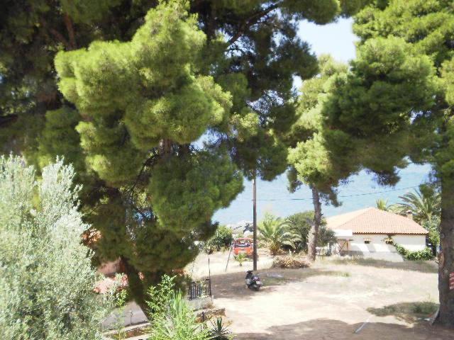 Studios Rosa Agia Paraskevi  Exterior photo